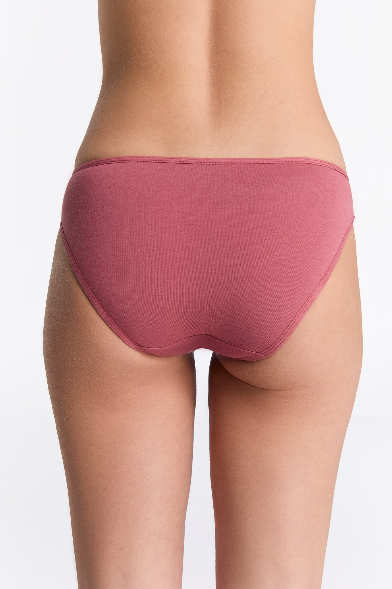1151-120 | Damen Slip Klassisch - Verblühte Rose